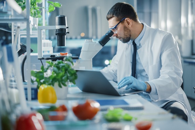 2026年　食品企業のR&D戦略調査Ⅱについて調査結果を発表
